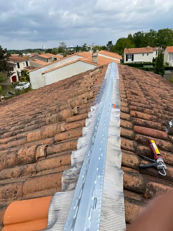 Faîtage en zinc courant sur une longue toiture