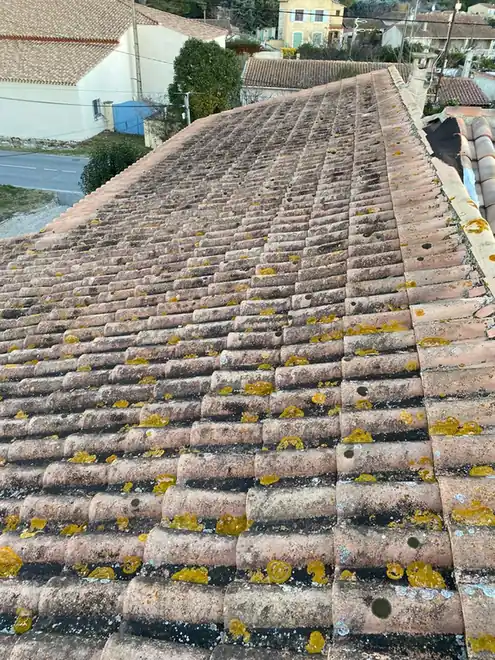 Grand rampant en tuiles couvert de mousses et de lichens